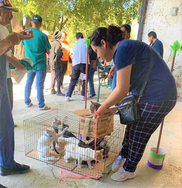 Centro De Atención Y Esterilización Canina Y Felina De Uriangato