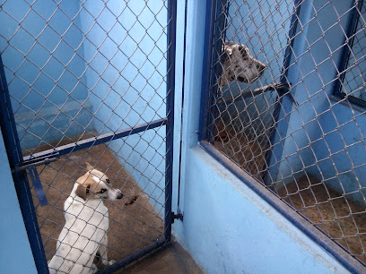 Centro De Bienestar Animal Y Clínica Veterinaria Coyotepets