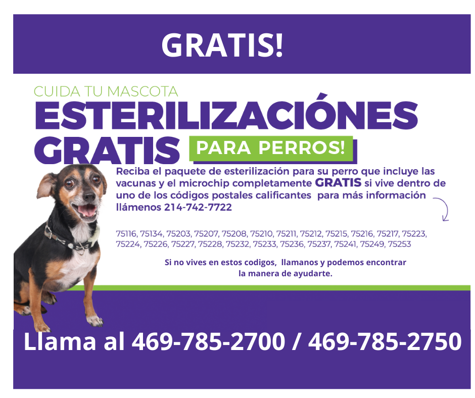 Centro De Esterilización Y Veterinaria