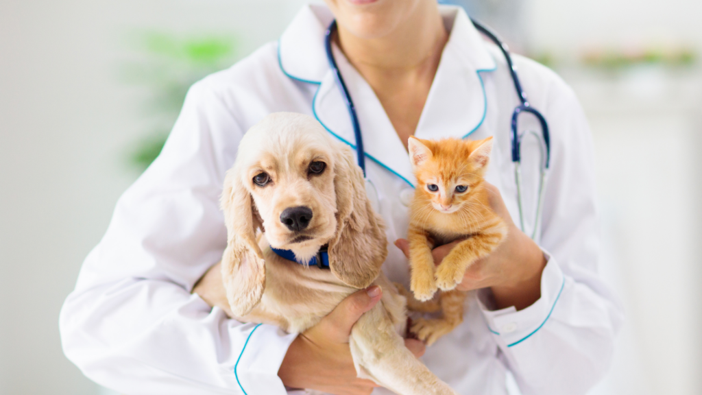 Centro Médico Veterinario Animal Care