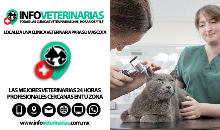 Centro Médico Veterinario Minatitlán