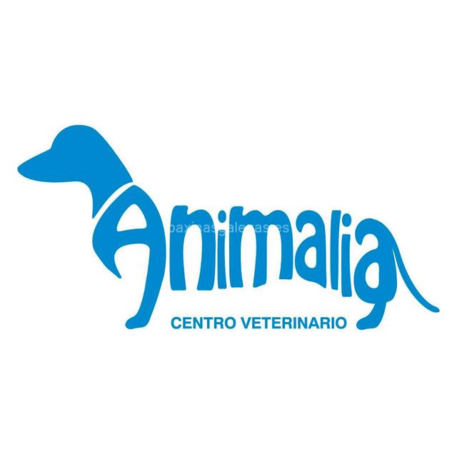 Centro Veterinario Animalia