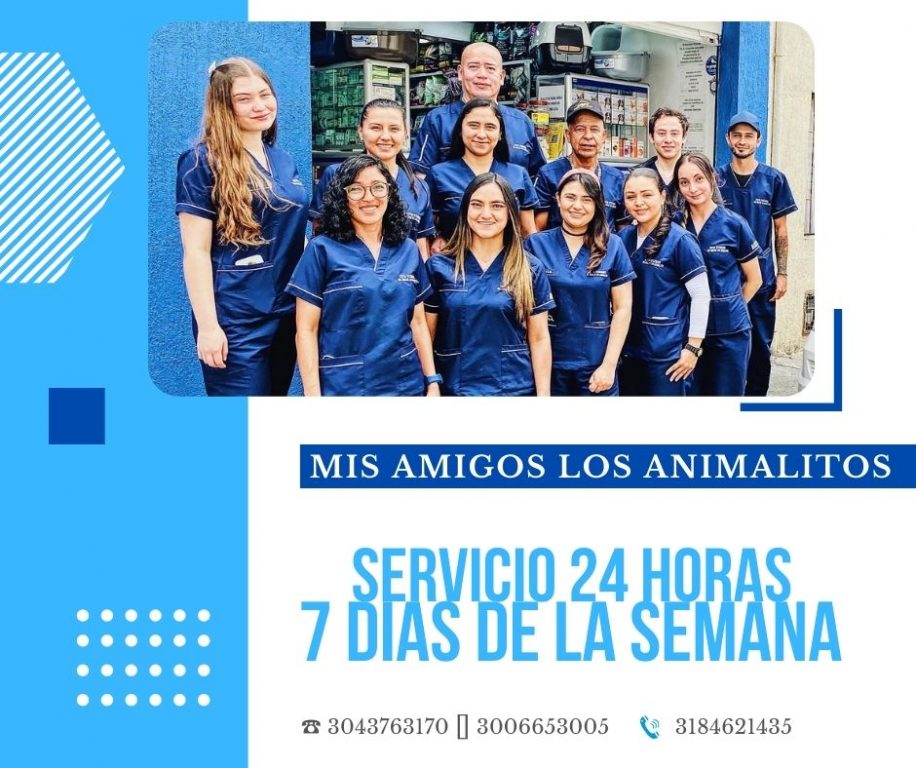 Centro Veterinario Animalitos