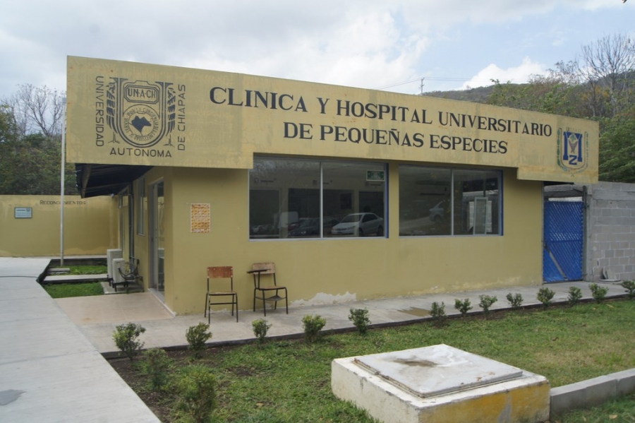 Centro Veterinario Chiapas