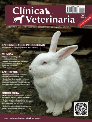 Centro Veterinario Esquivel