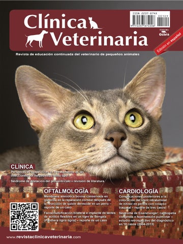 Centro Veterinario La Cima