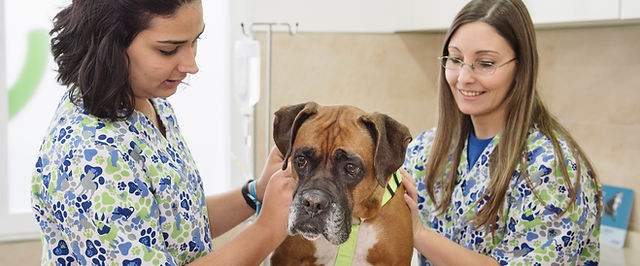 Centro Veterinario Los Reyes