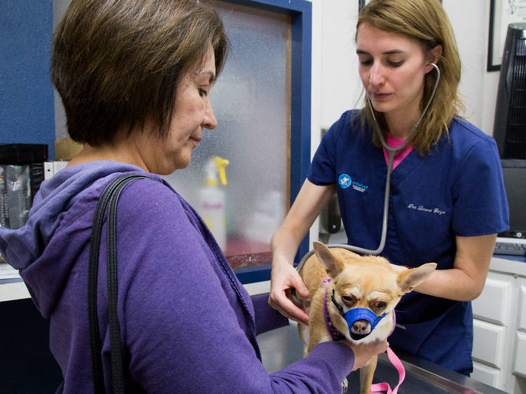 Centro Veterinario México Urgencias