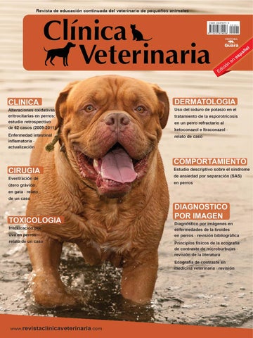 Centro Veterinario Plan De San Luis