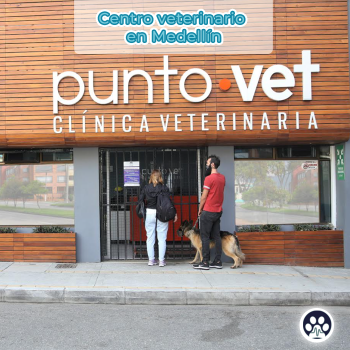 Centro Veterinario Punto Vet