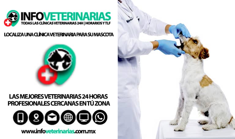 Centro Veterinario Uruapan