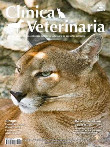 Civet Clinica Integral Veterinaria