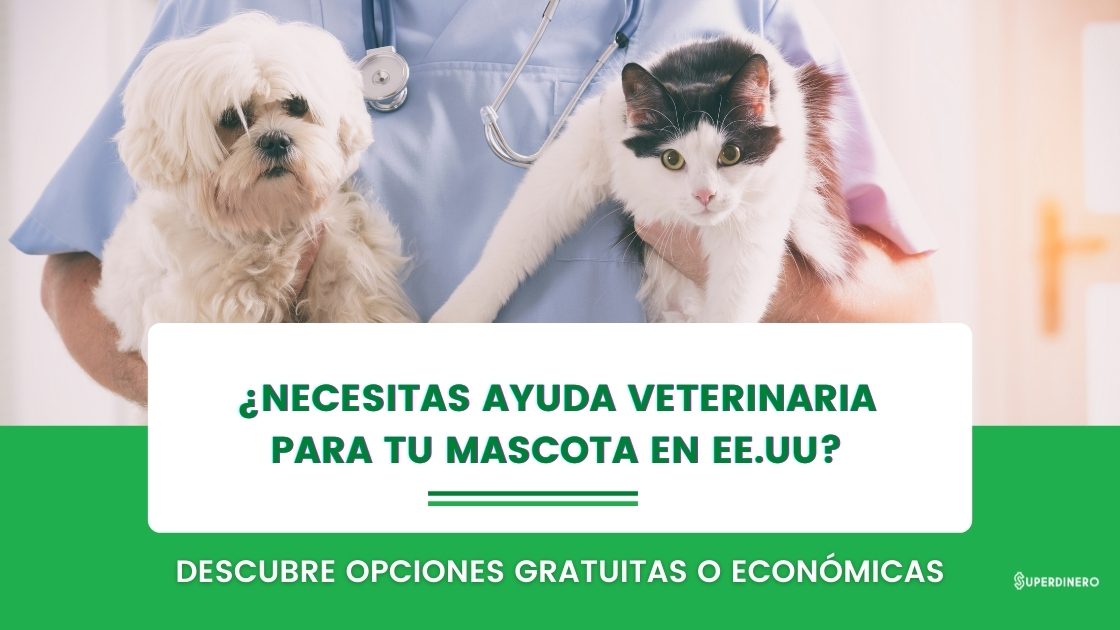 Clínica Veterinaria A Domicilio Mascota Mia