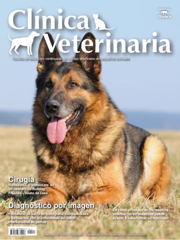 Clínica Veterinaria Alemán