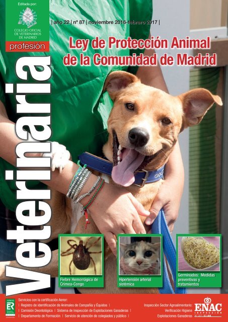 Clinica Veterinaria Allende Animal Care