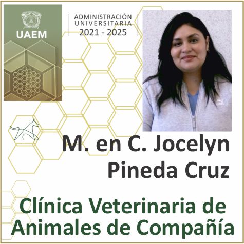 Clinica Veterinaria Ameca