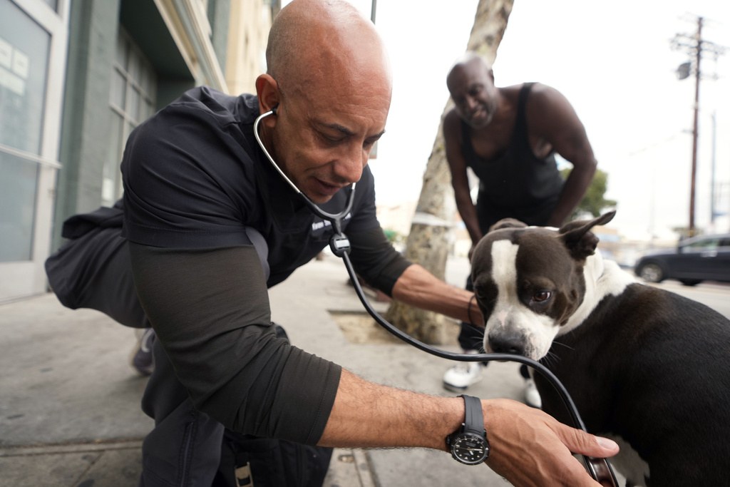 Clínica Veterinaria ángeles