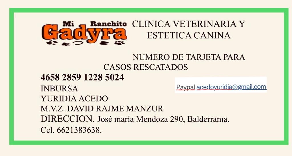 Clínica Veterinaria Bataclan