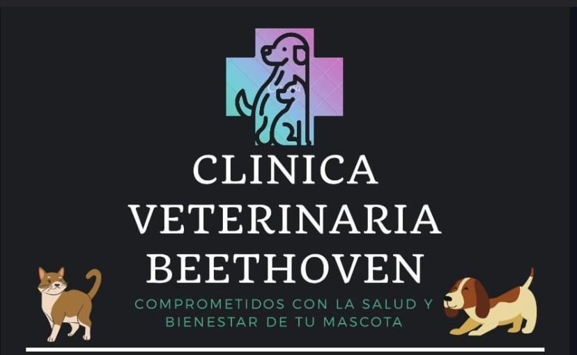 Clinica Veterinaria Beethoven