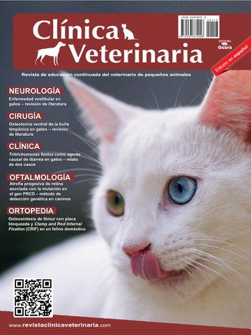 Clinica Veterinaria Belen