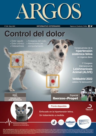 Clinica Veterinaria Bernal