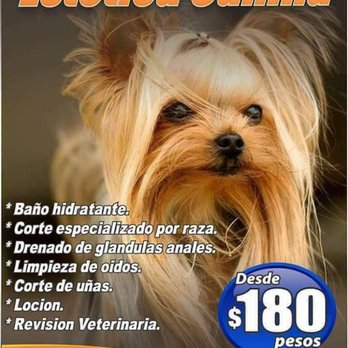 Clínica Veterinaria Caborca