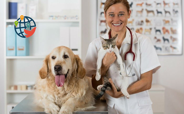 Clinica Veterinaria Canadiense