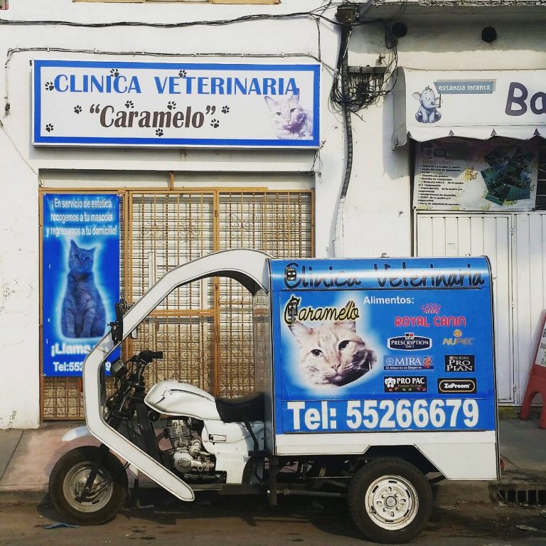 Clínica Veterinaria Caramelo