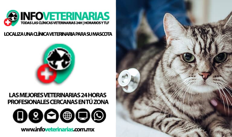 Clínica Veterinaria "chavarría"