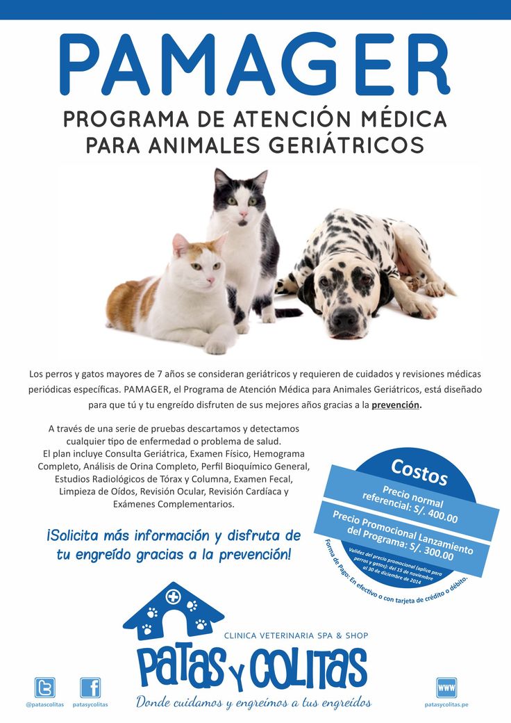 Clinica Veterinaria "colitas"