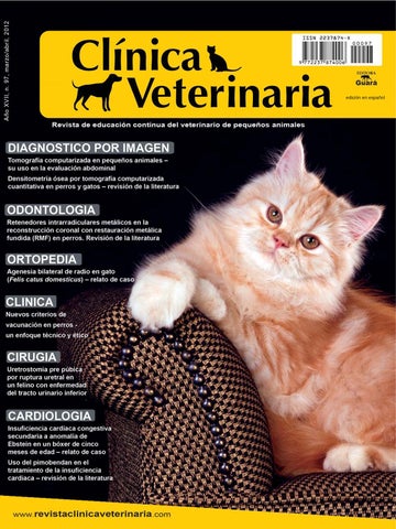 Clínica Veterinaria Como Perros Y Gallos