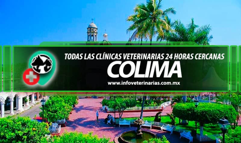 Clínica Veterinaria De Colima