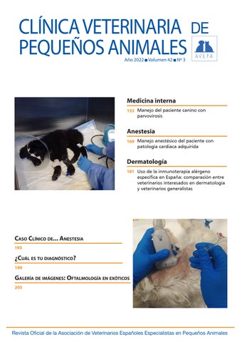 Clínica Veterinaria De Pequeñas Especies El Buen Pastor