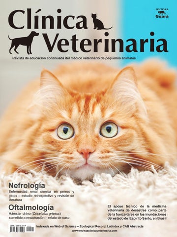 Clínica Veterinaria De Pequeñas Especies Laguna