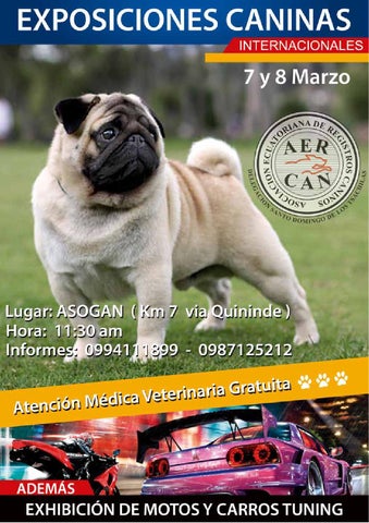 Clinica Veterinaria Dog&god