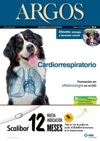 Clínica Veterinaria Dr César Solana