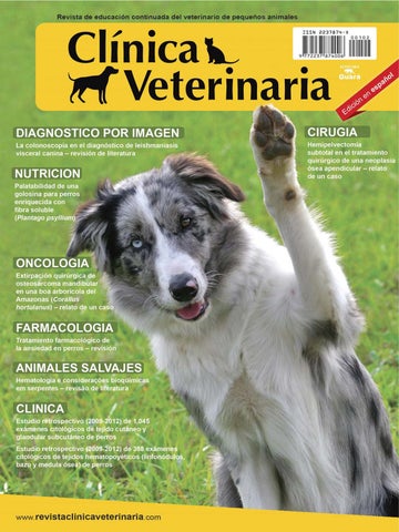 Clinica Veterinaria Dr. Palma