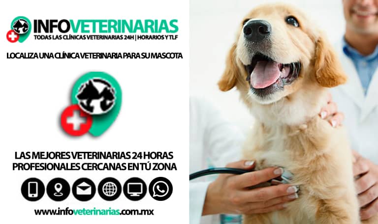 Clínica Veterinaria "dr. Rico"