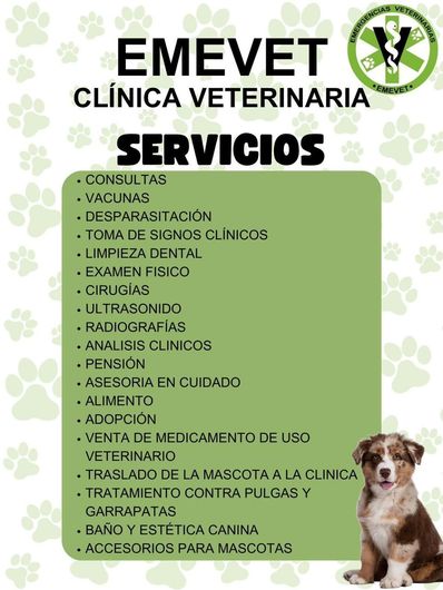 Clinica Veterinaria Emevet