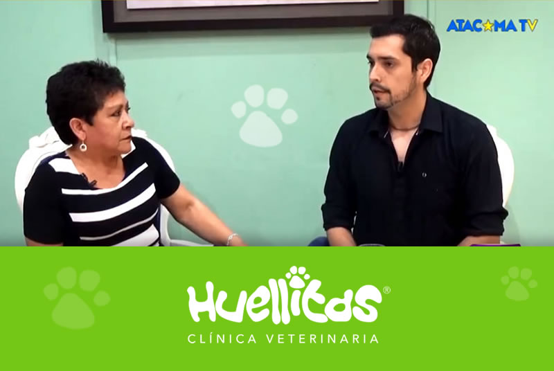 Clínica Veterinaria Huellitas