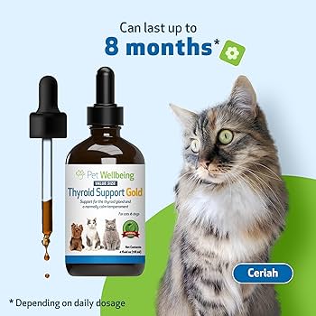 Clínica Veterinaria Katze