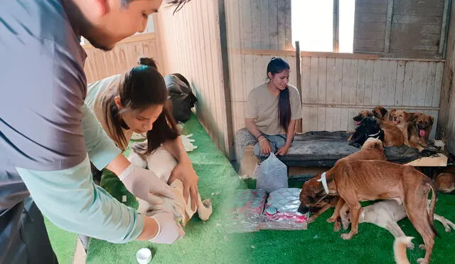 Clínica Veterinaria La Capillita