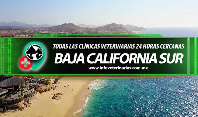 Clinica Veterinaria Lunavet