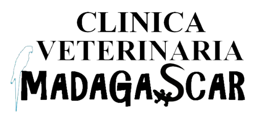 Clinica Veterinaria Madagascar