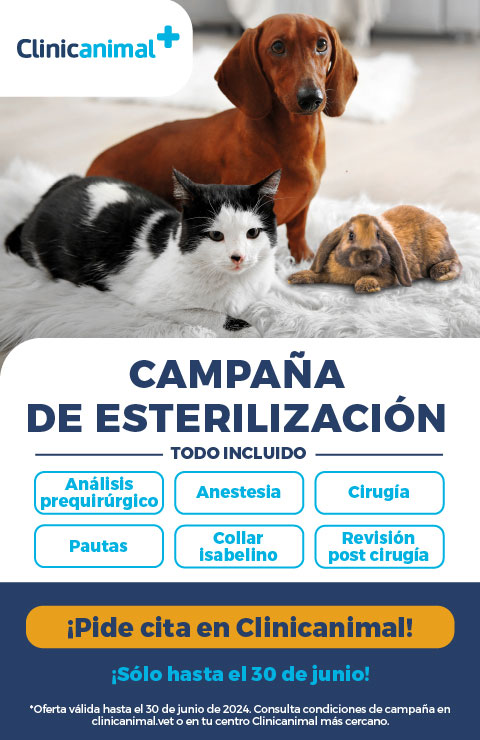 Clínica Veterinaria Mafer