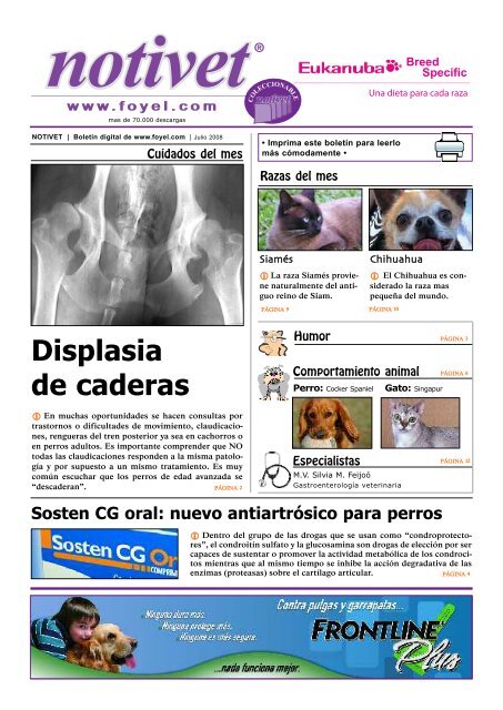 Clinica Veterinaria Medicavet De Especialidad En Perros Y Gatos