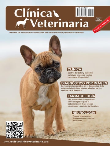 Clinica Veterinaria Neri