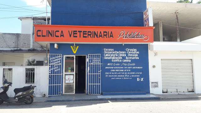 Clinica Veterinaria Pelotillehue