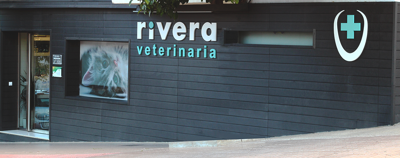 Clínica Veterinaria Rivera