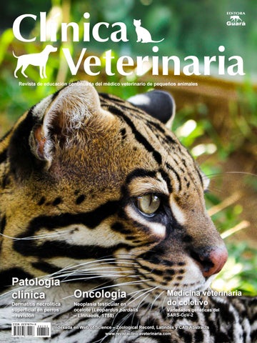 Clínica Veterinaria Sabino